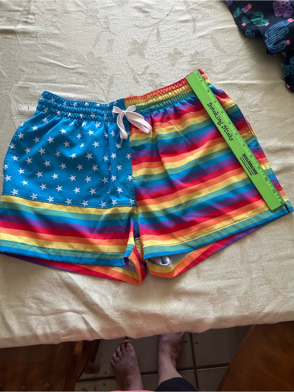 Chubbies Rainbow Striped Swim Shorts with Star Panel